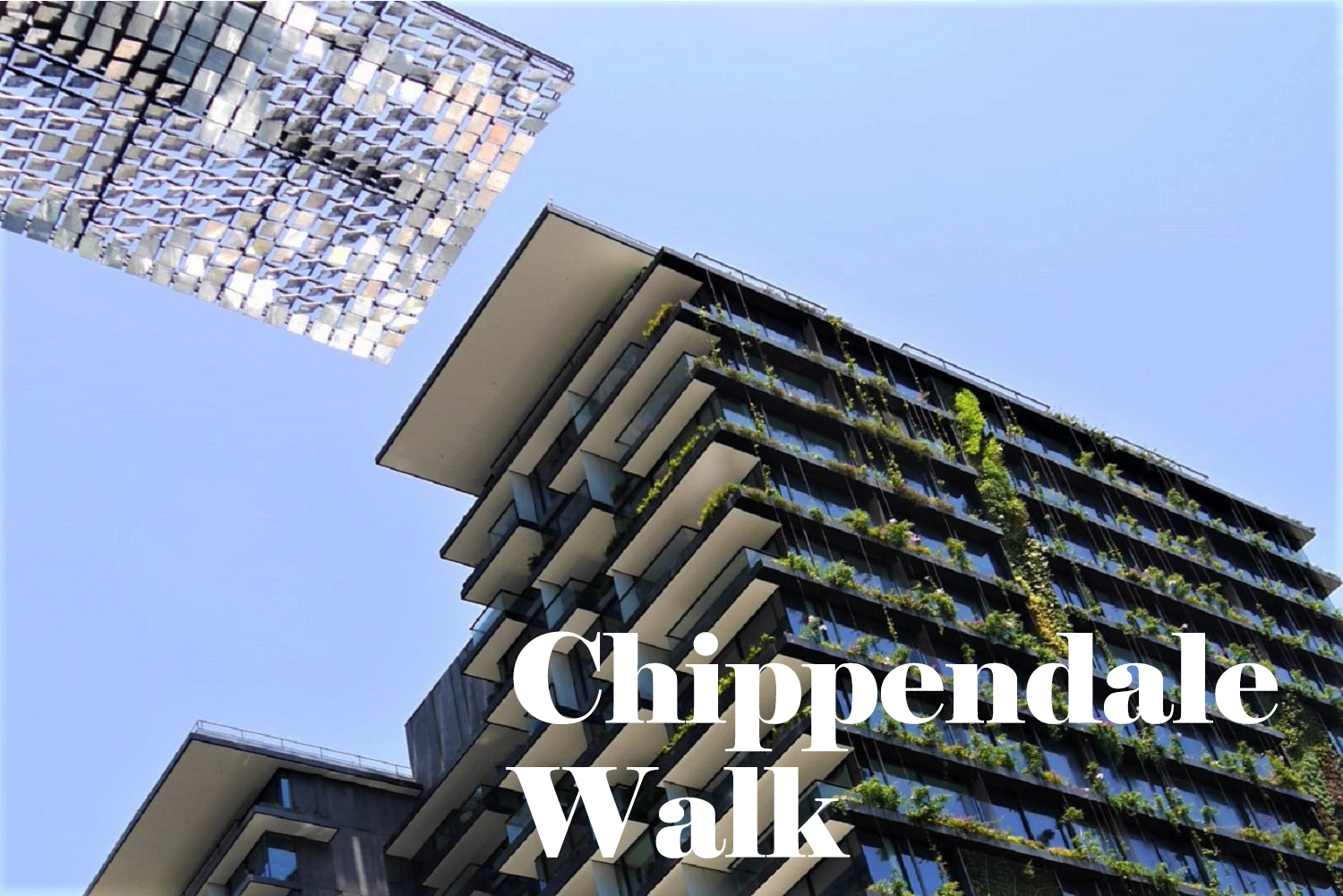 Chippendale Walk